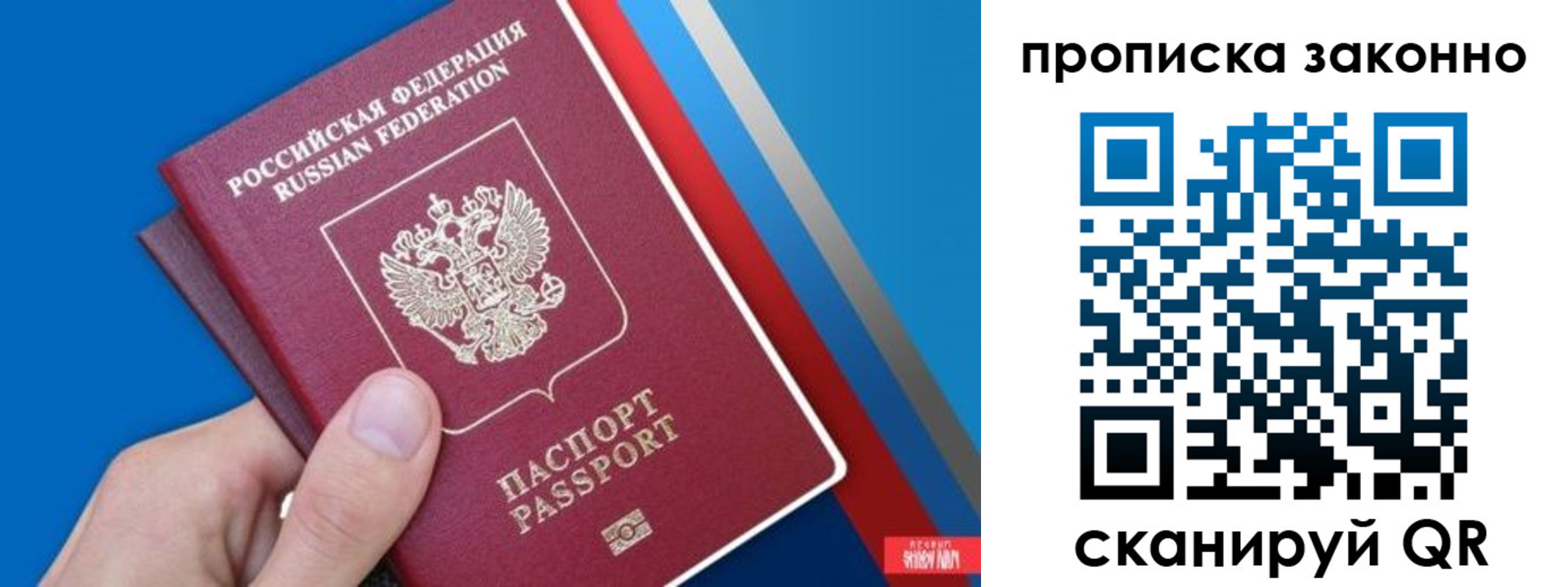 пропишу в квартире в Михайловске